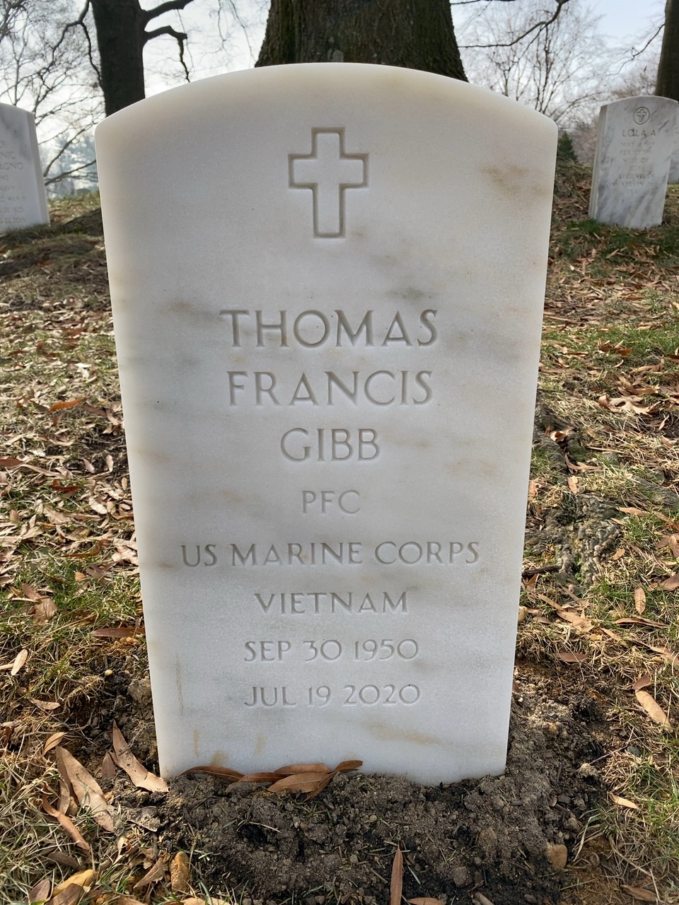 Thomas F Gibb
