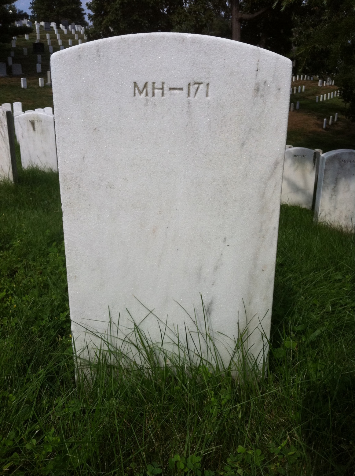 Back of headstone — David Allinson