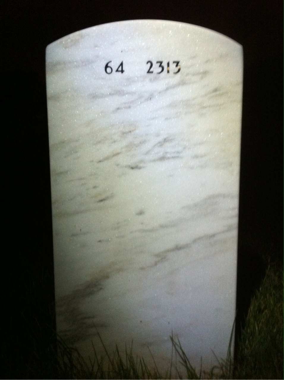 Back of headstone — Ronnie Maddox