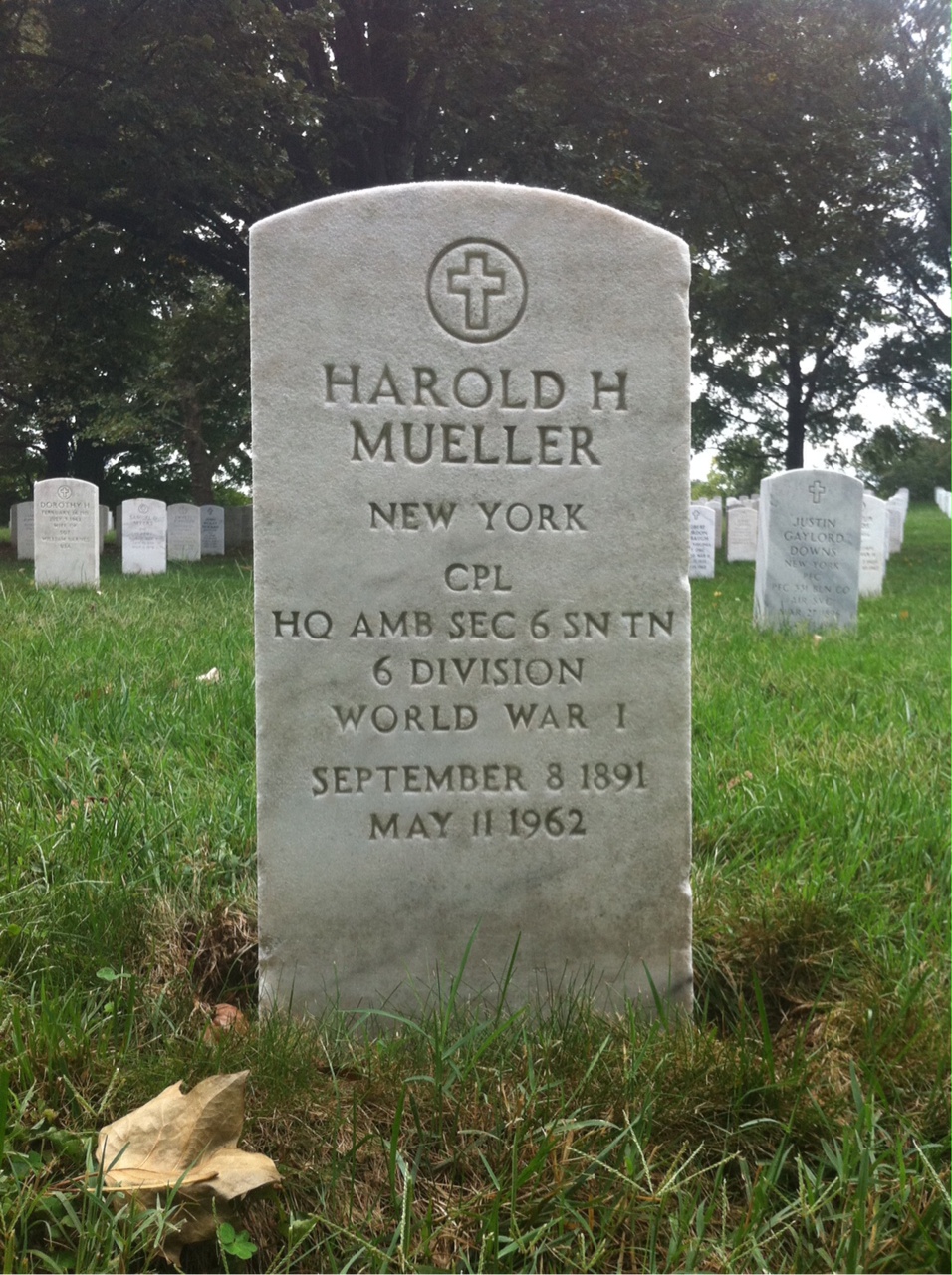 Harold Mueller