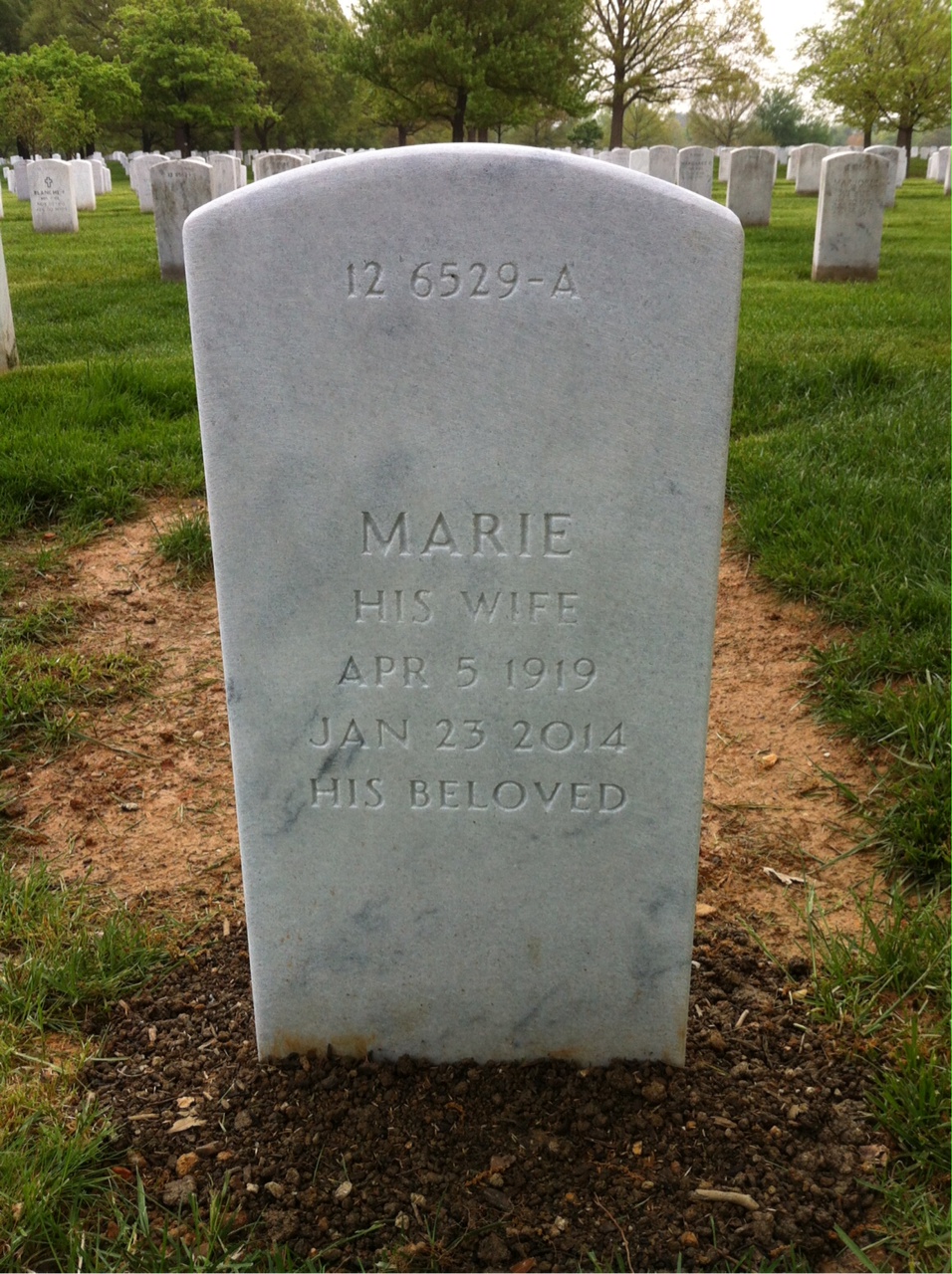 Back of headstone — John Murphy