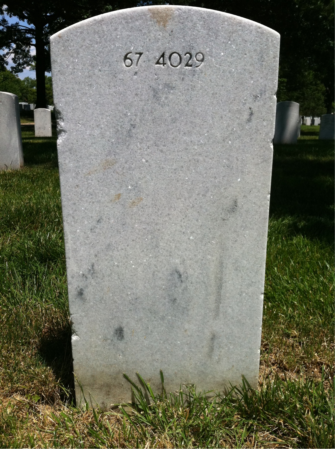 Back of headstone — Thomas N Johnson