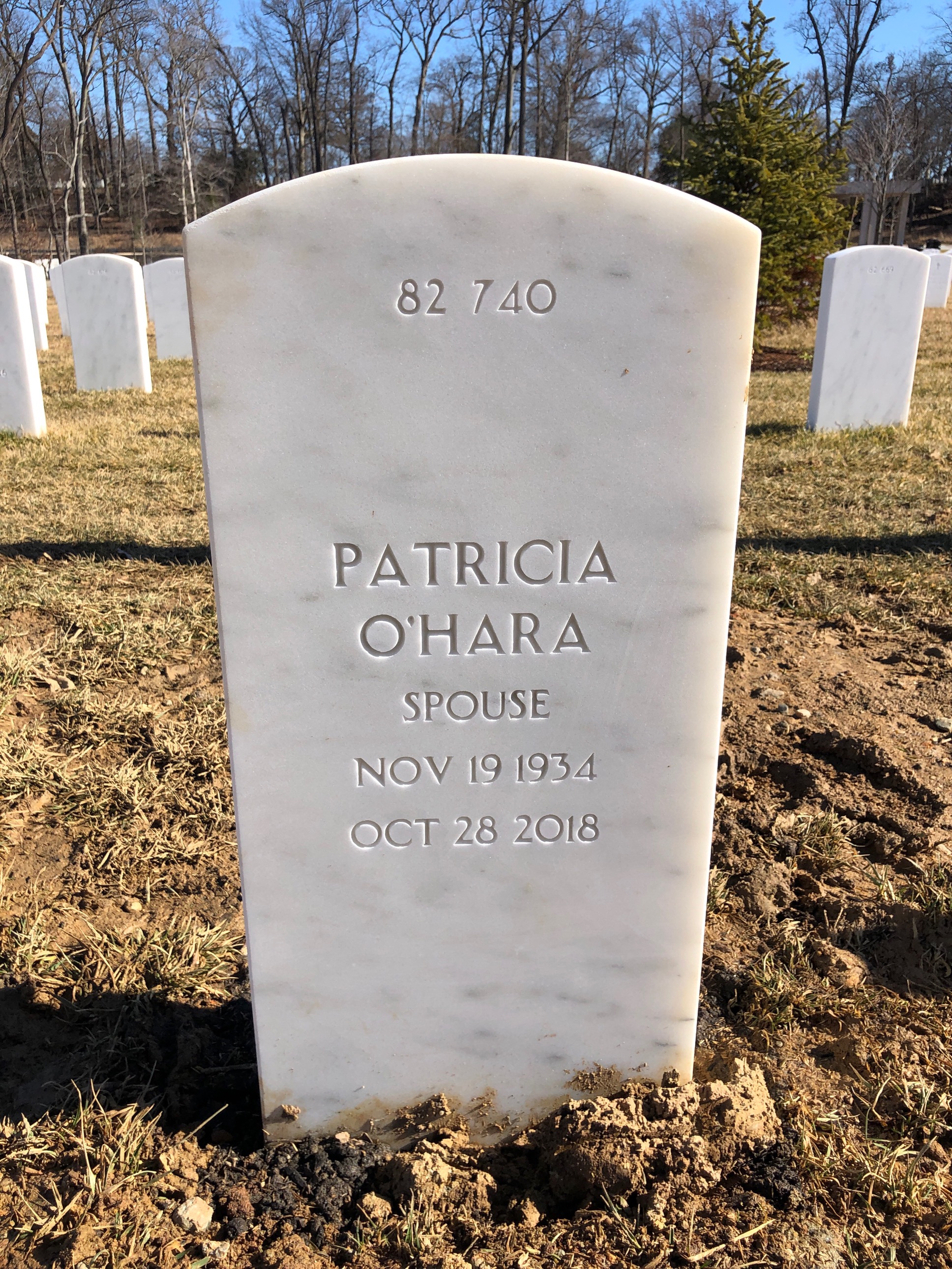 Back of headstone — Thomas Jerome Hally