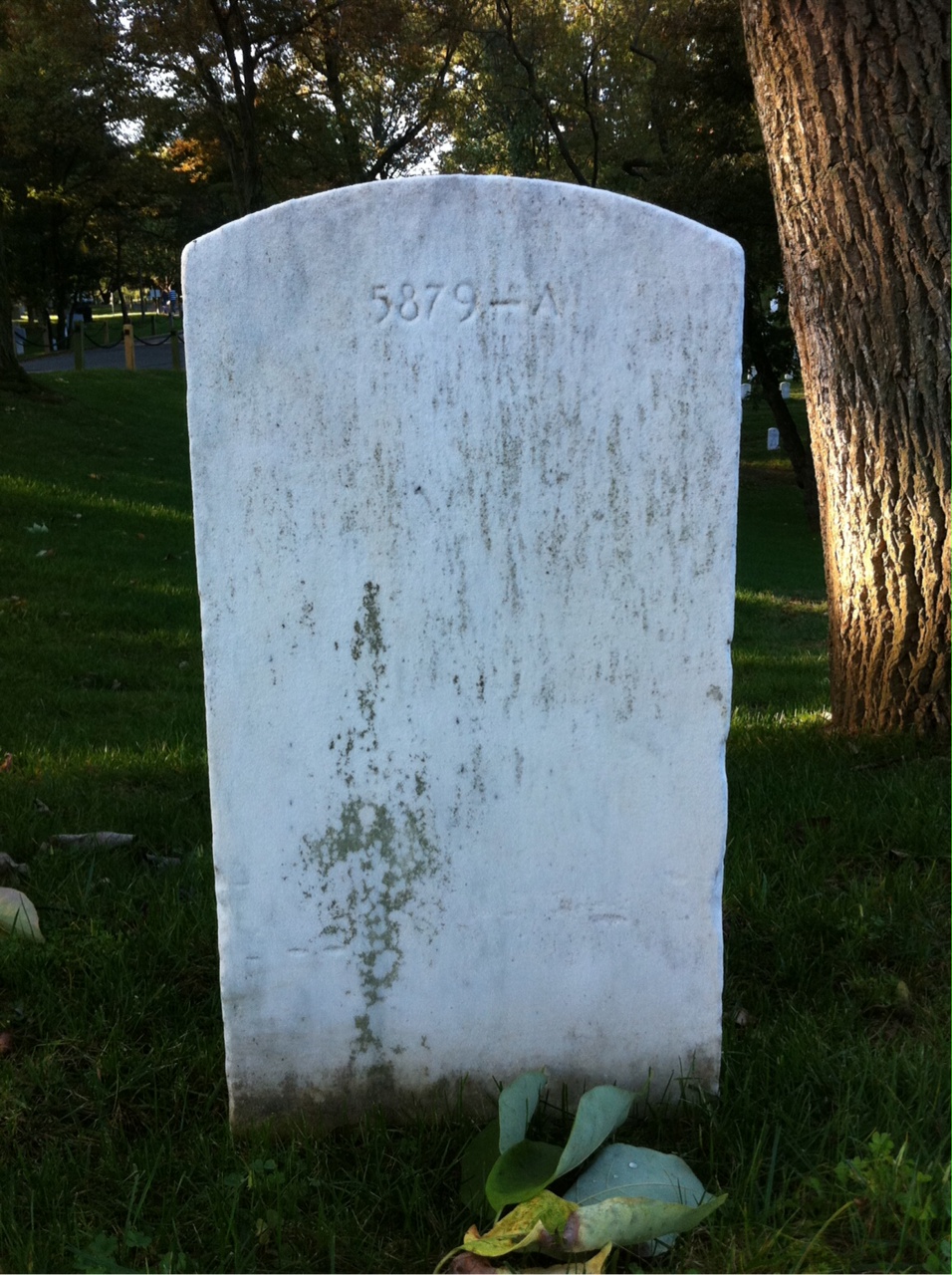 Back of headstone — Robert Musgrove