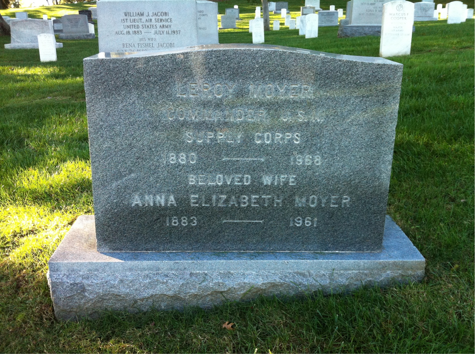 Anna Moyer