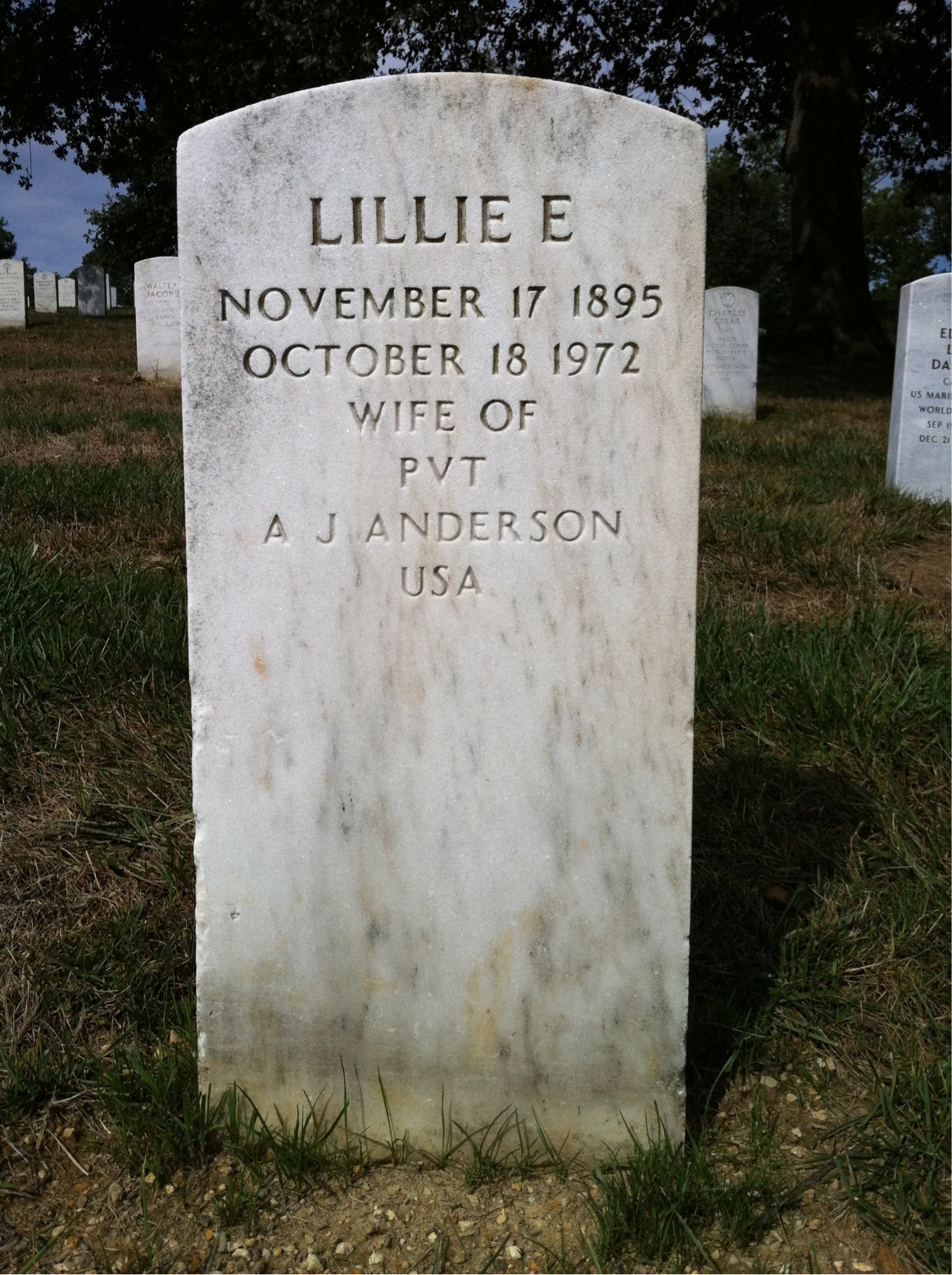 Lillie Anderson