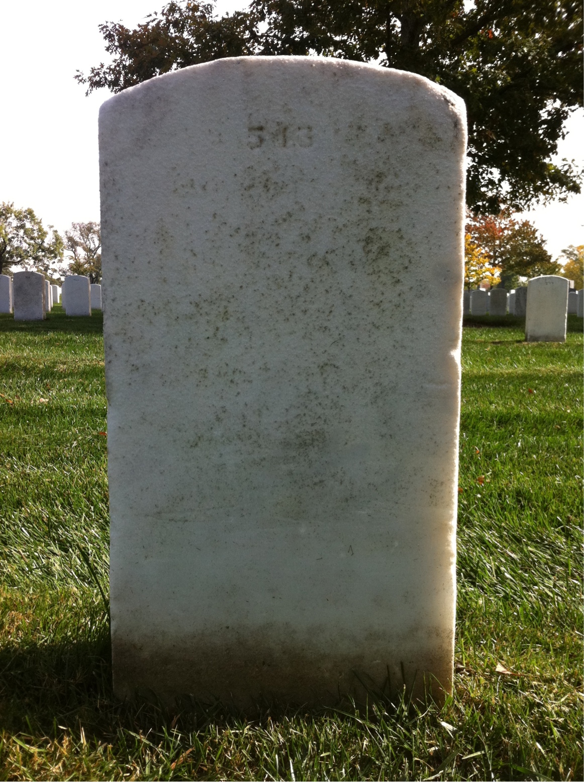 Back of headstone — Sheila Baldes
