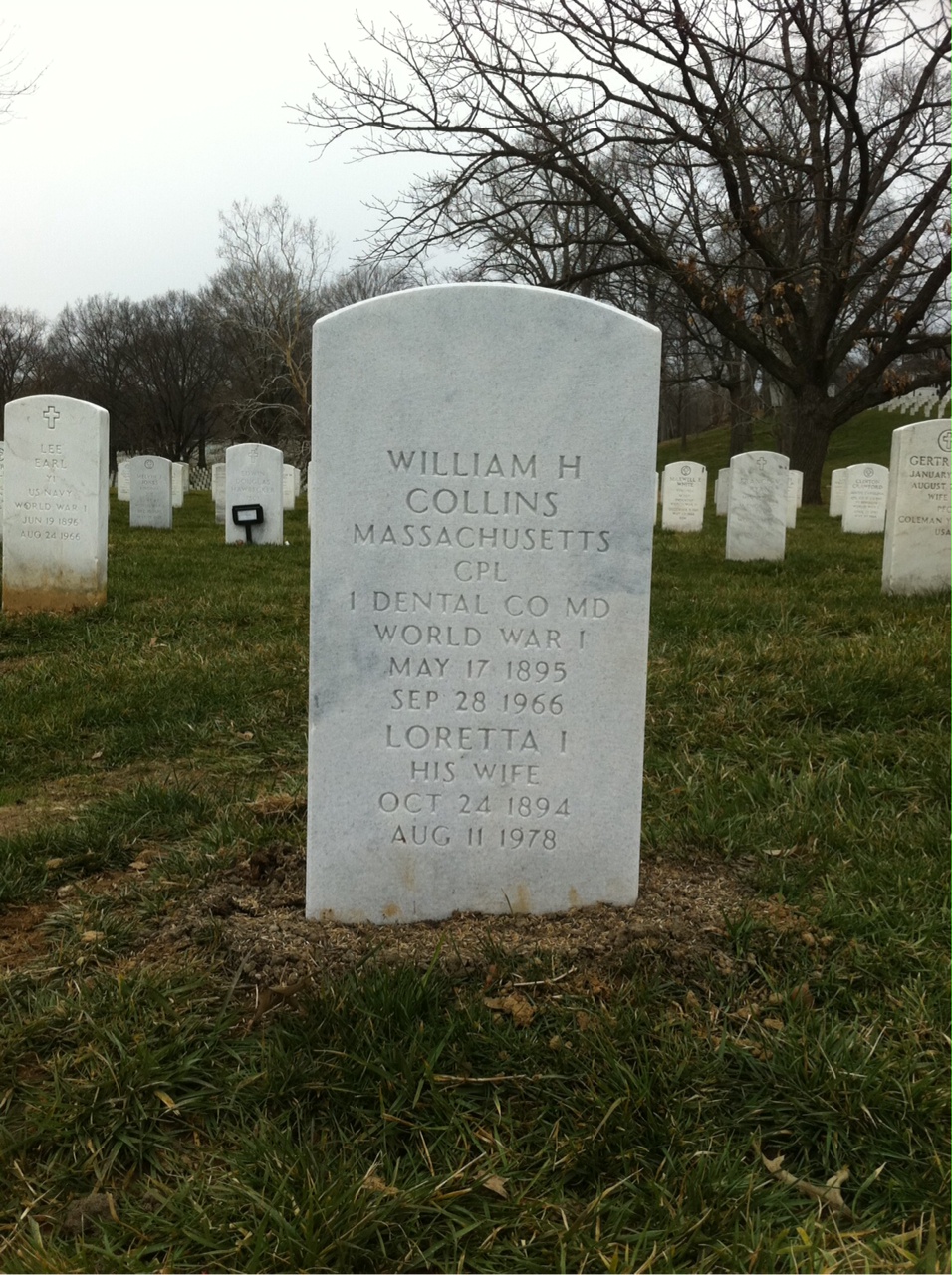 William F Collins