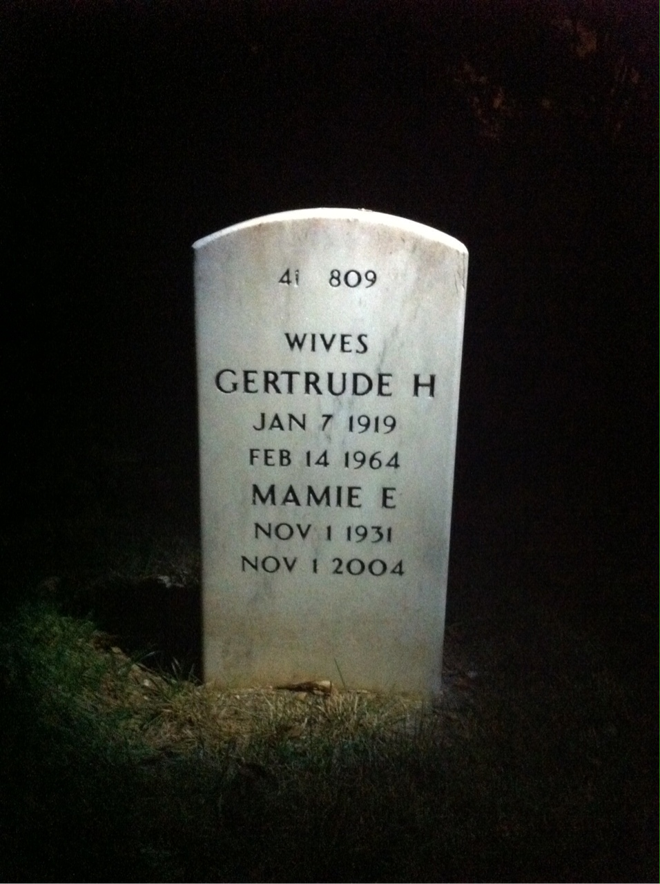 Back of headstone — Mcado Shuler
