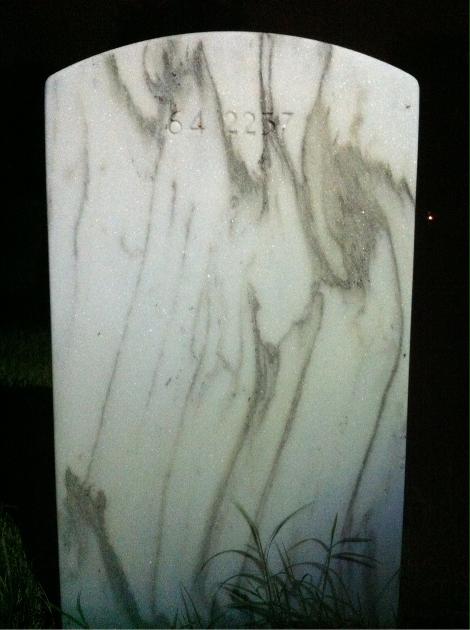 Back of headstone — William V Francis