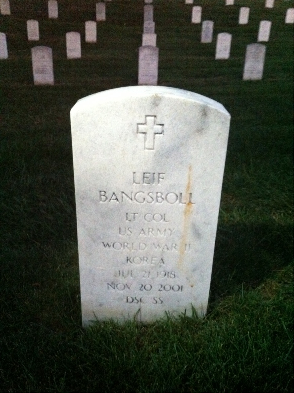 Dorothy Bangsboll