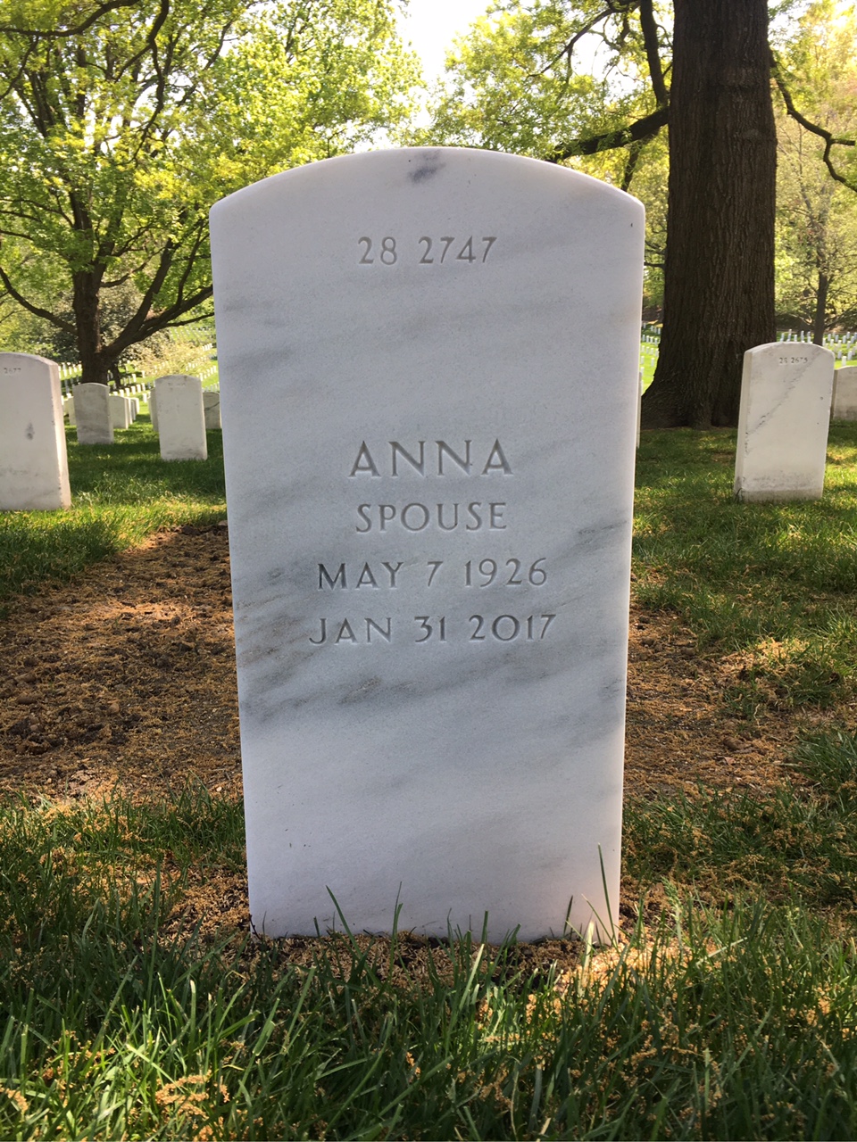 Back of headstone — William Tuthill
