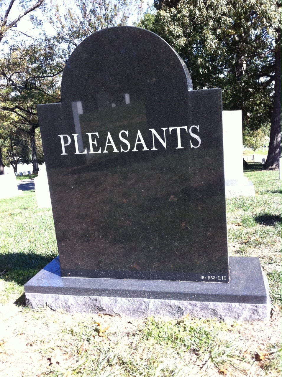 Back of headstone — Frances Pleasants
