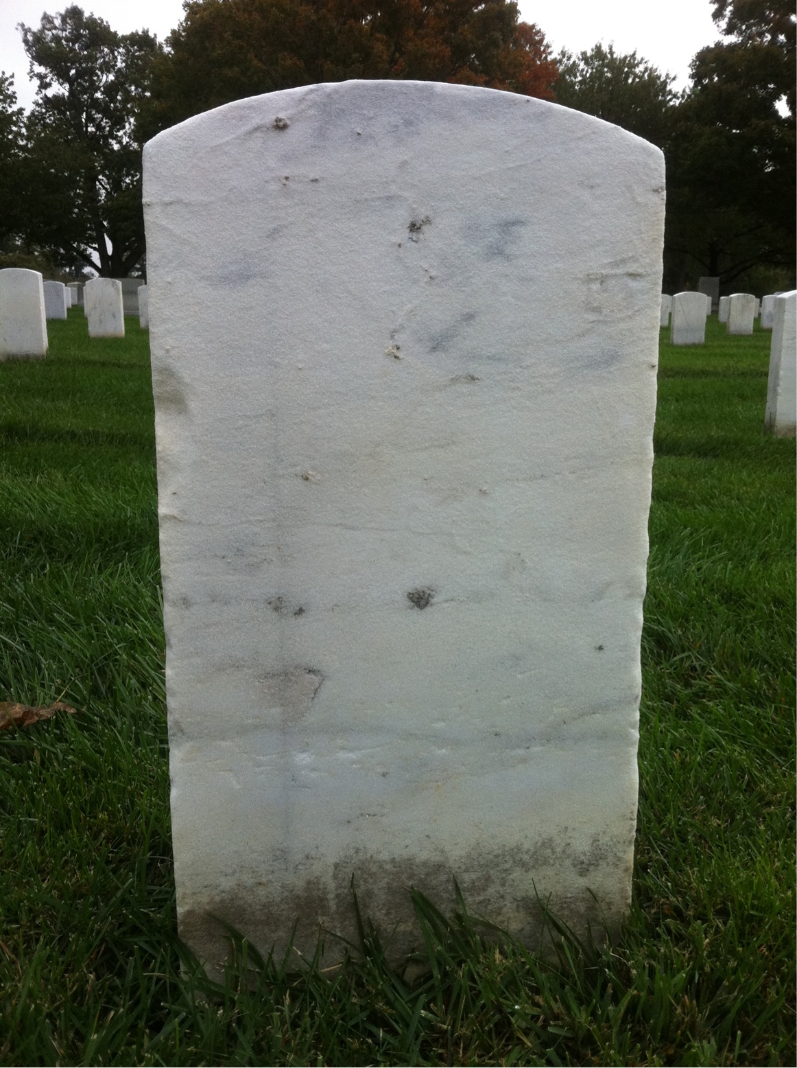 Back of headstone — Hamilton Balinger
