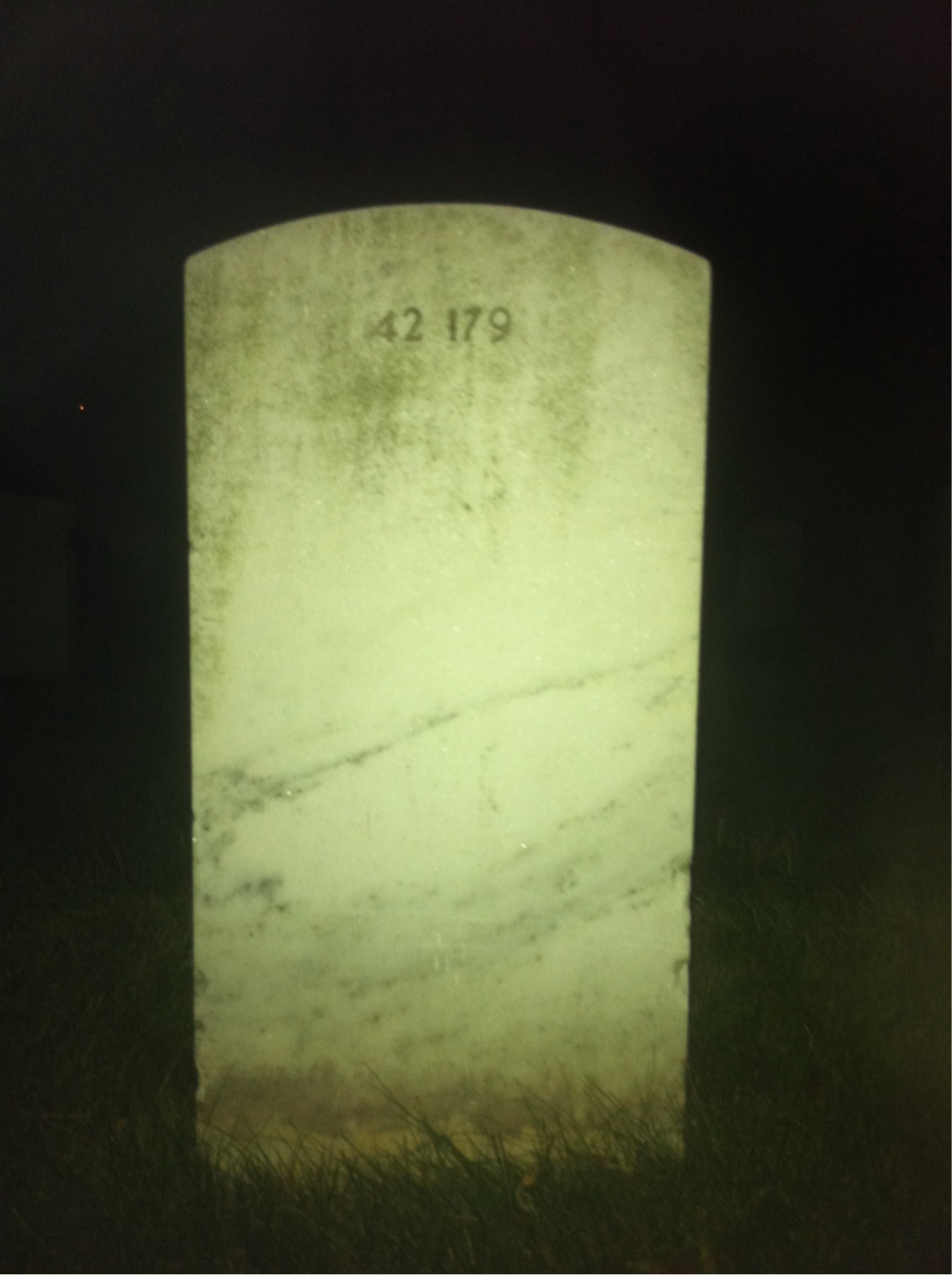 Back of headstone — Pleasant Alexander