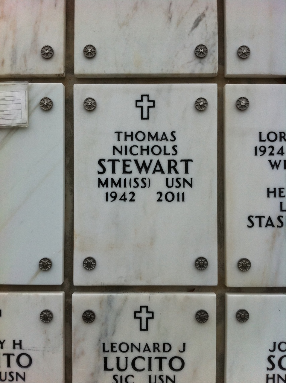 Thomas N Stewart