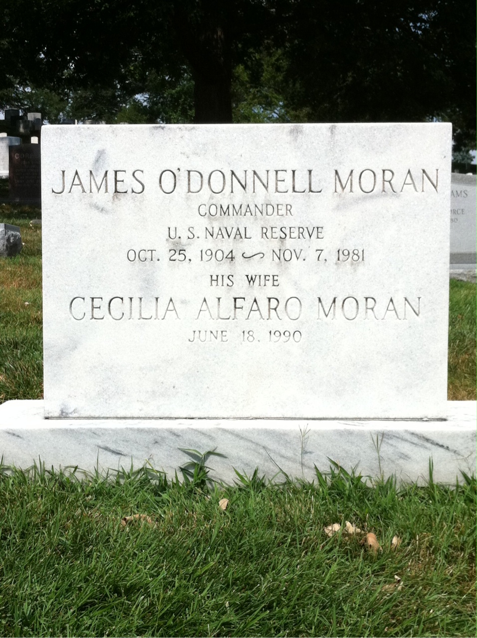 Cecilia Moran