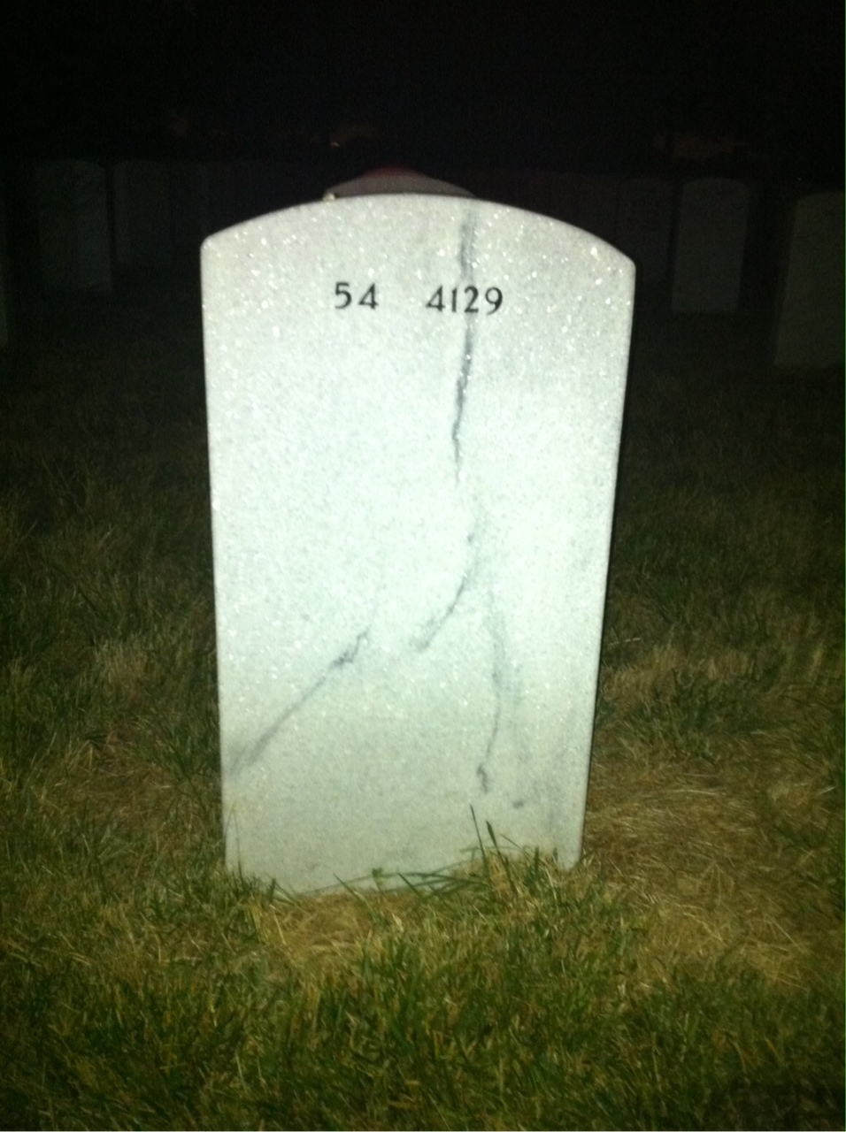 Back of headstone — Henry Sanders