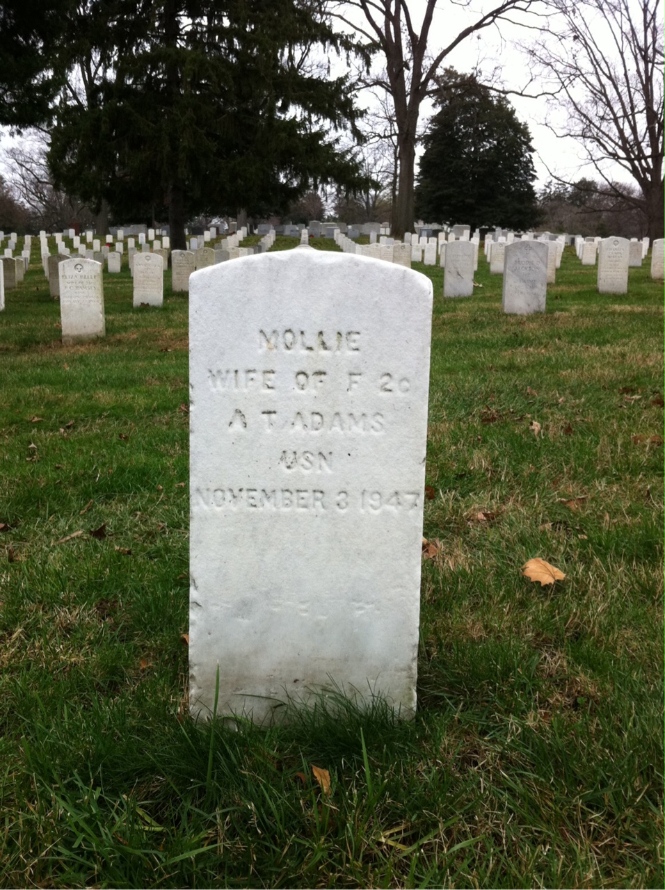 Mollie Adams