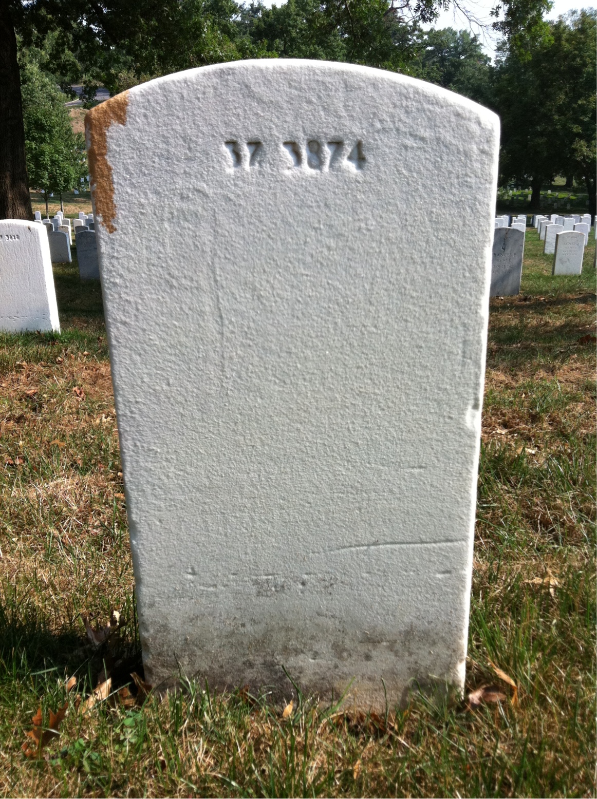 Back of headstone — Frederick Bailey
