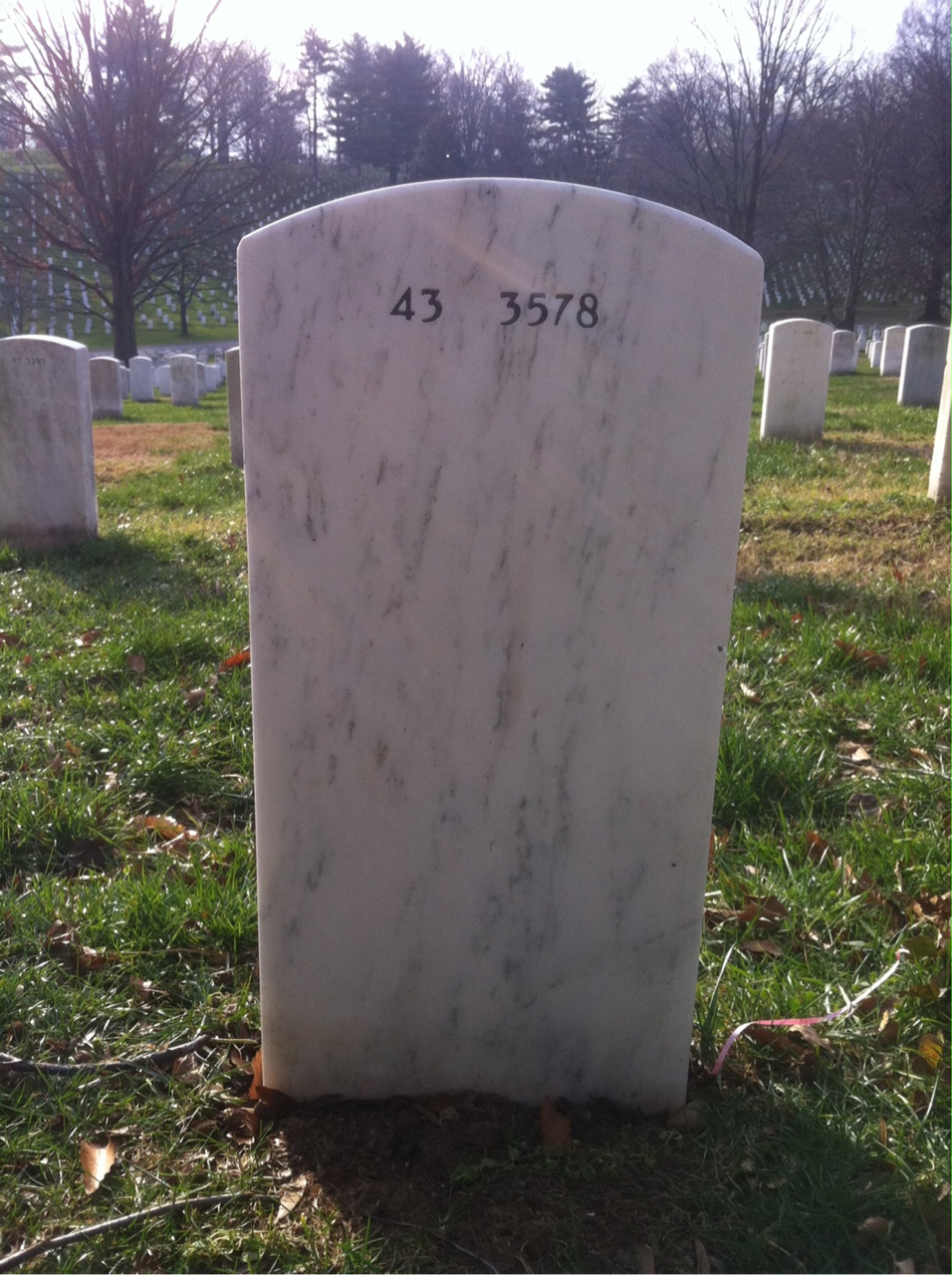 Back of headstone — Wubshet Yilma