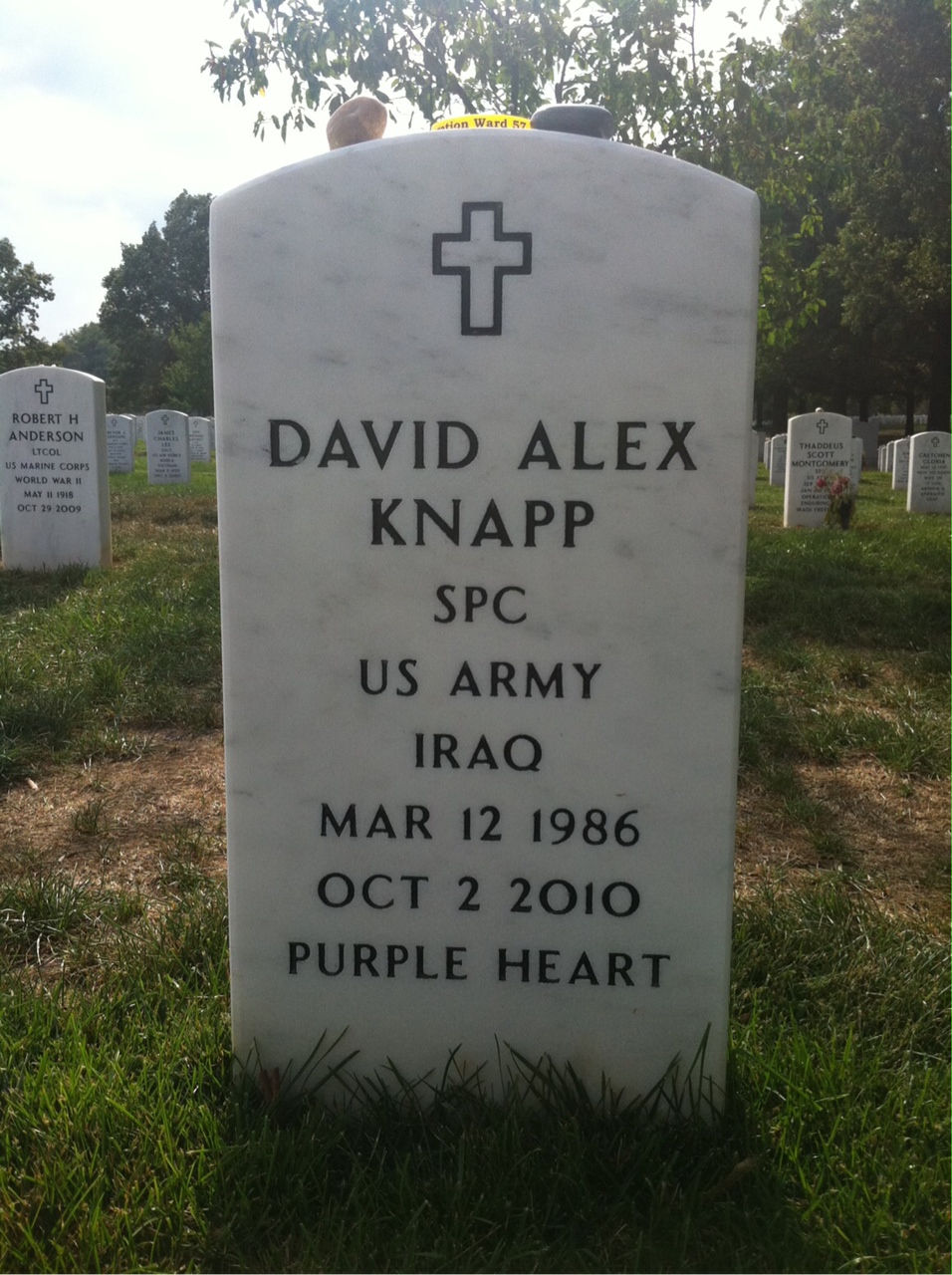 David Knapp