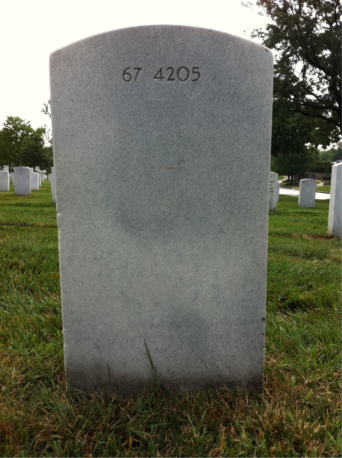Back of headstone — Aldona Alyta