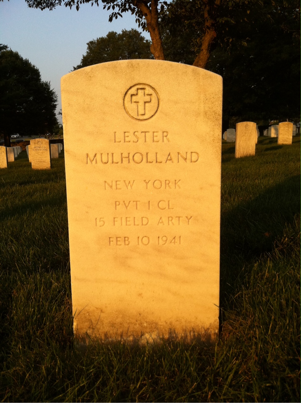 Lester Mulholland
