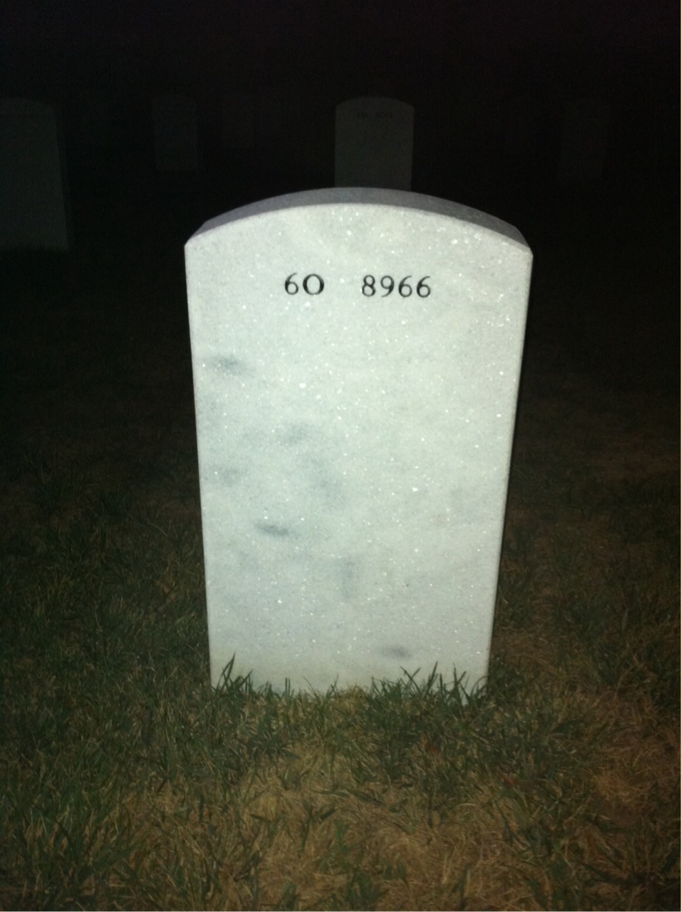 Back of headstone — Roosevelt Dailey