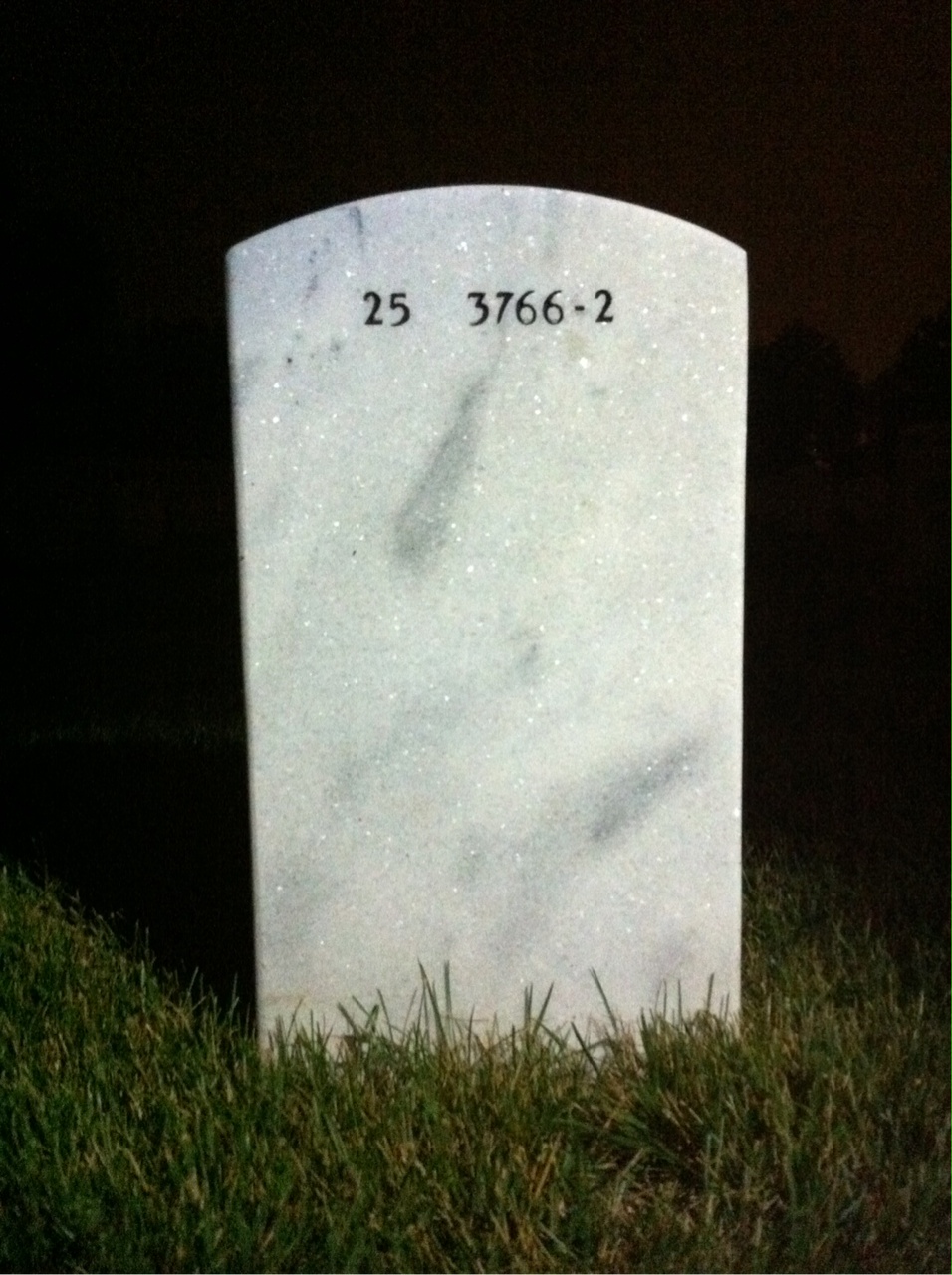Back of headstone — Harry Wagner