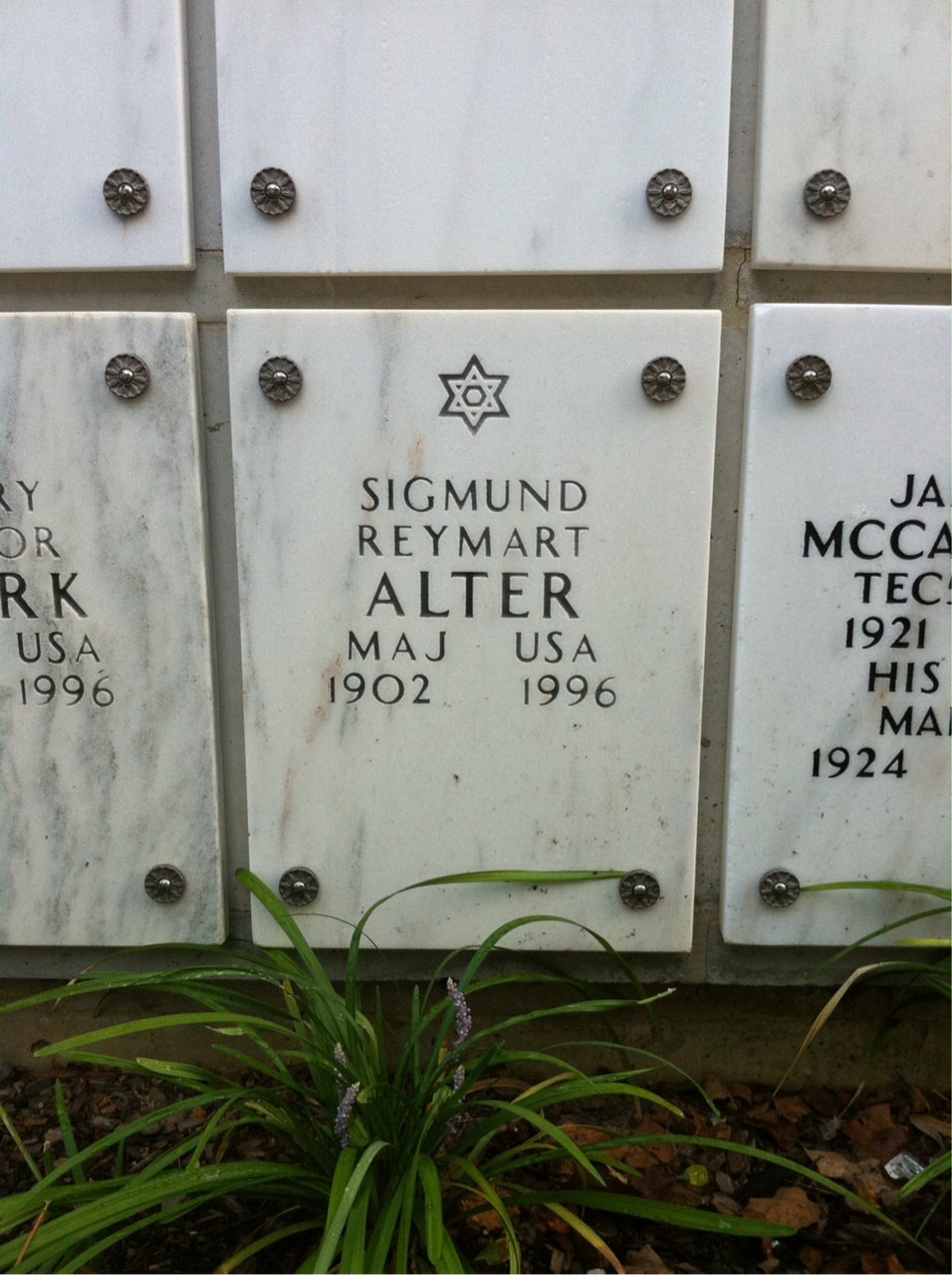 Sigmund Alter