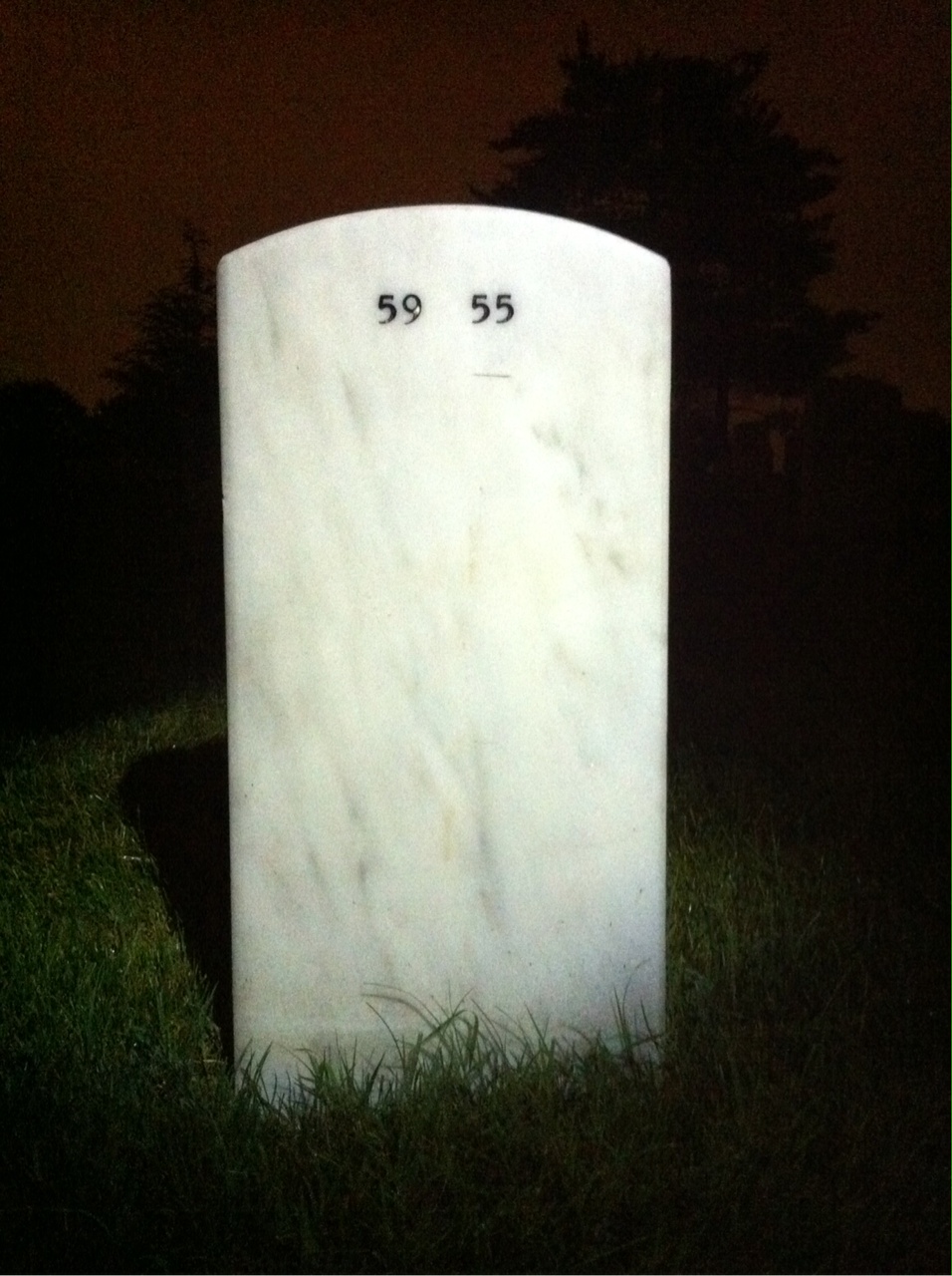 Back of headstone — Lee Brown