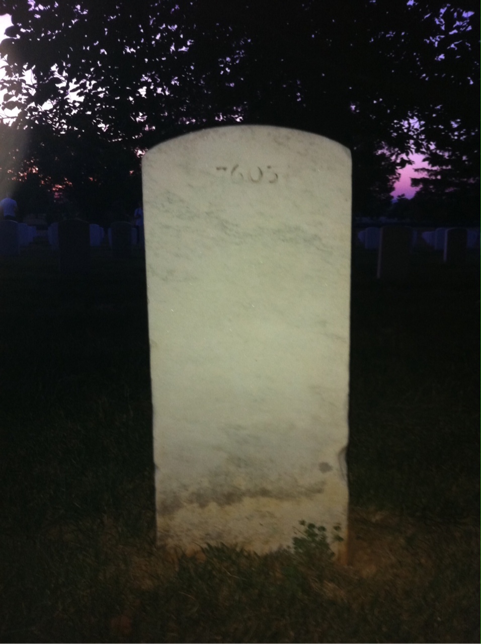Back of headstone — Flavious Allder