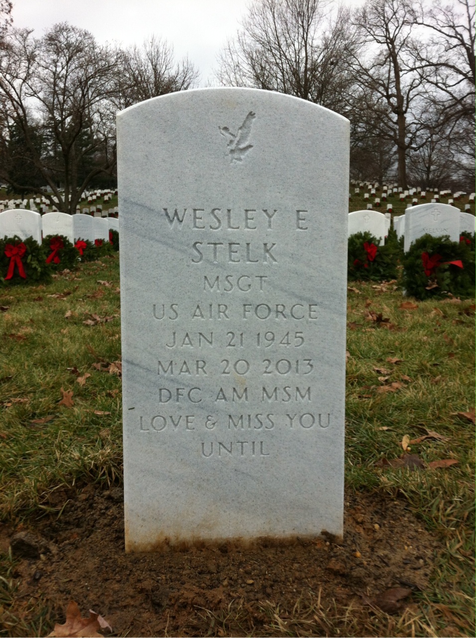Wesley Emerson Stelk