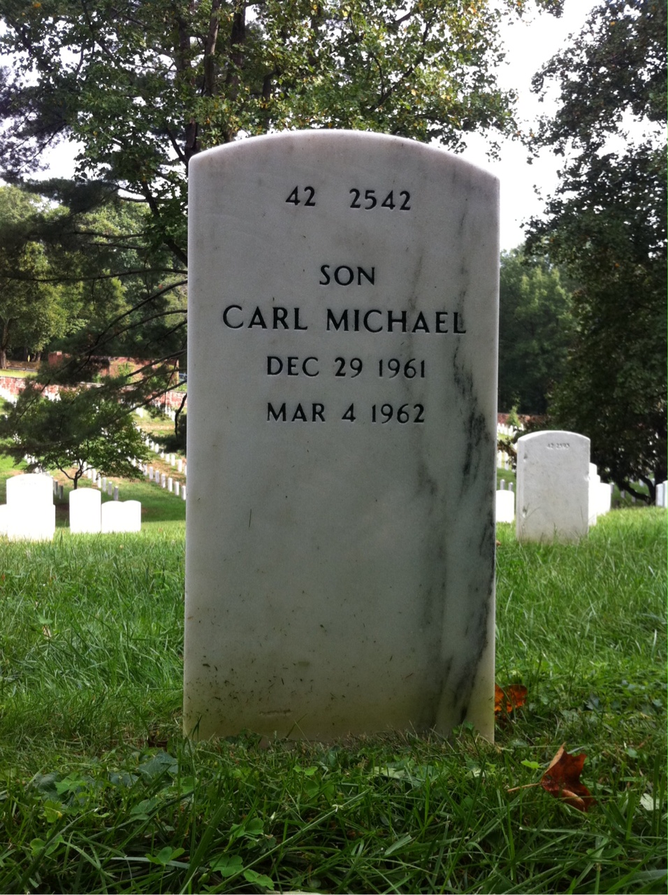 Back of headstone — Charles Fitts