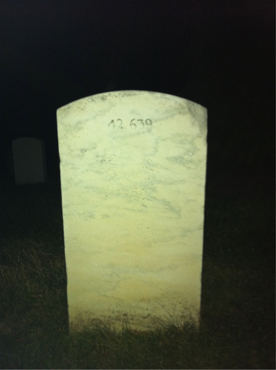 Back of headstone — Stephen Anickus