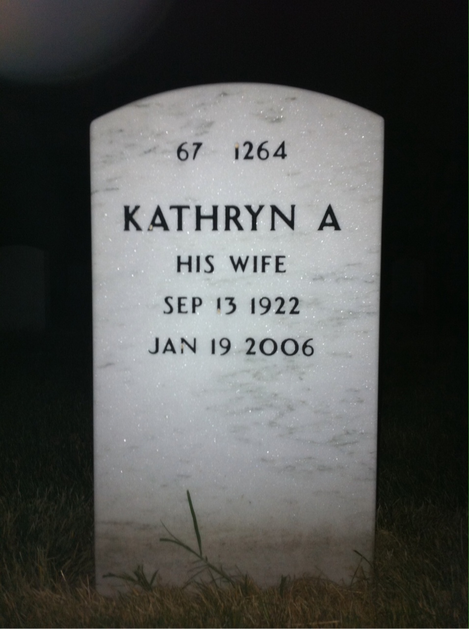 Back of headstone — Theodore Rochelle
