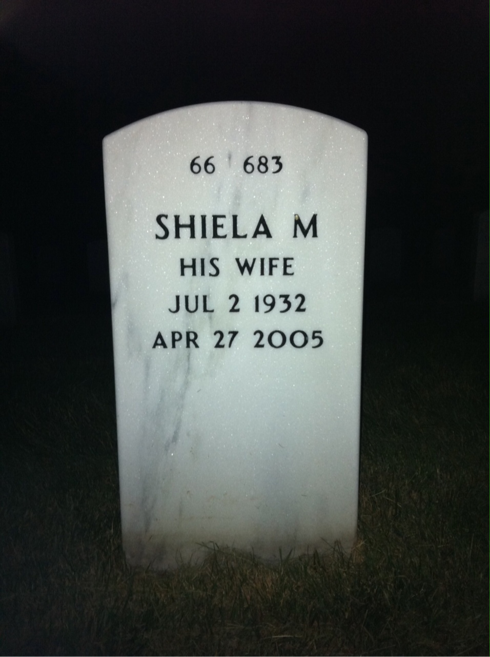 Back of headstone — Richard Goggin