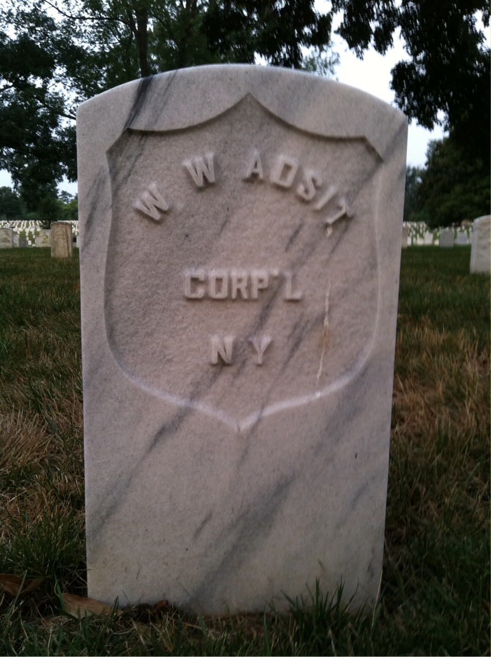 W Adsit