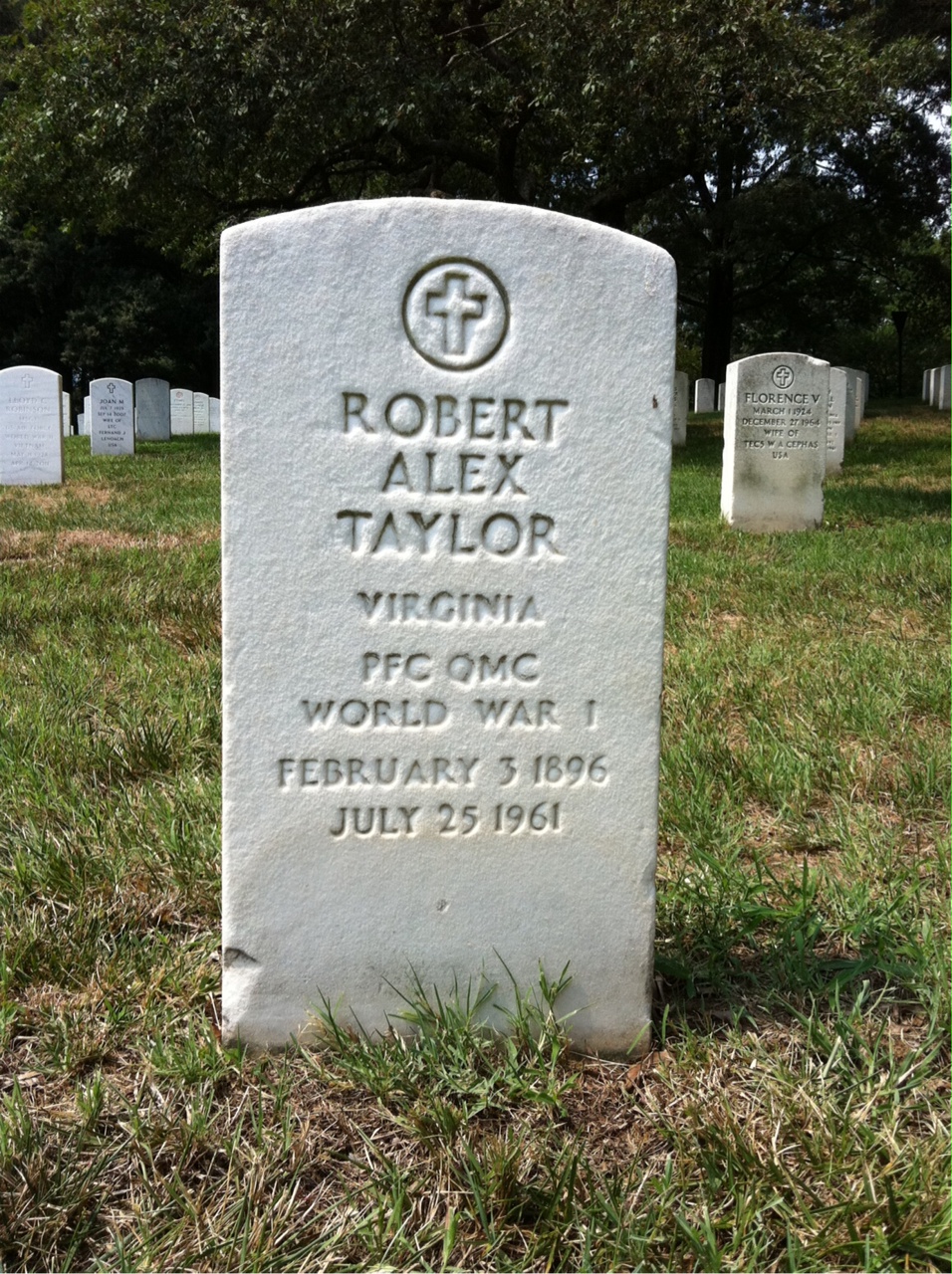 Robert B Taylor