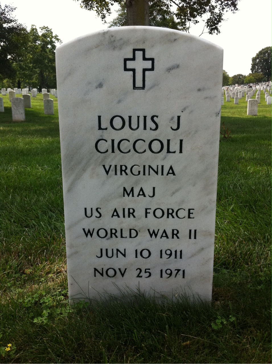 Louis Ciccoli