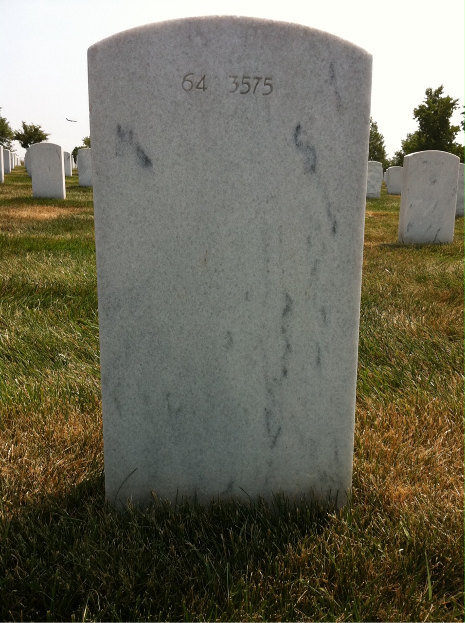 Back of headstone — Walter William Gaston