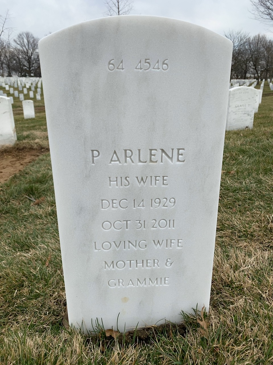 Back of headstone — Edwin Bauer