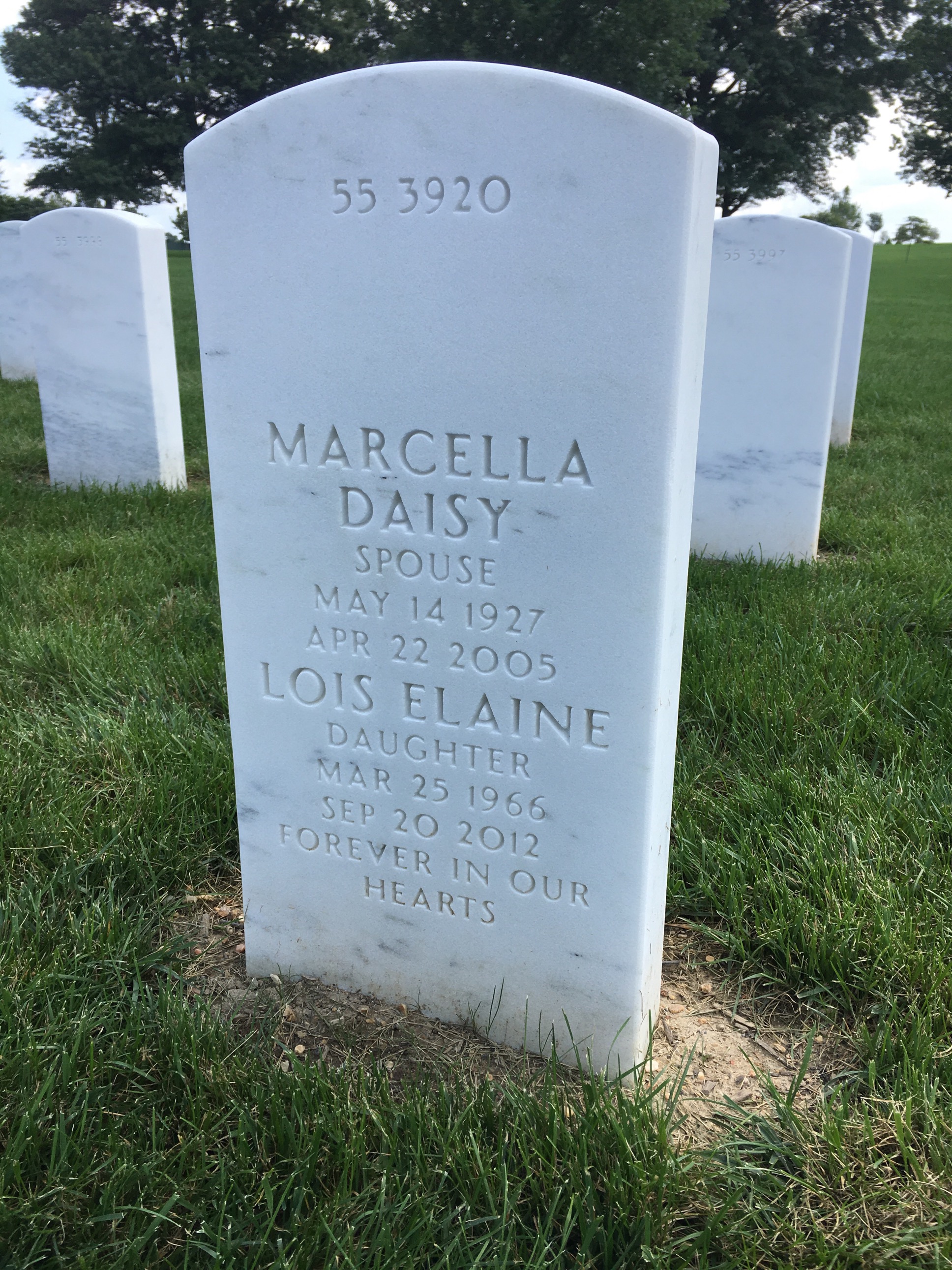 Back of headstone — William Harm Johnson