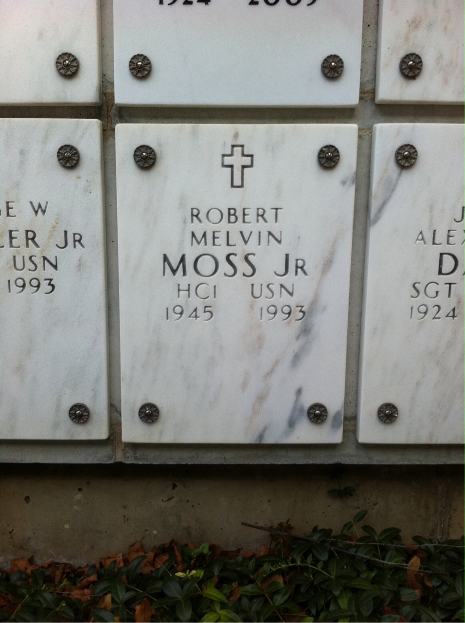 Robert Moss