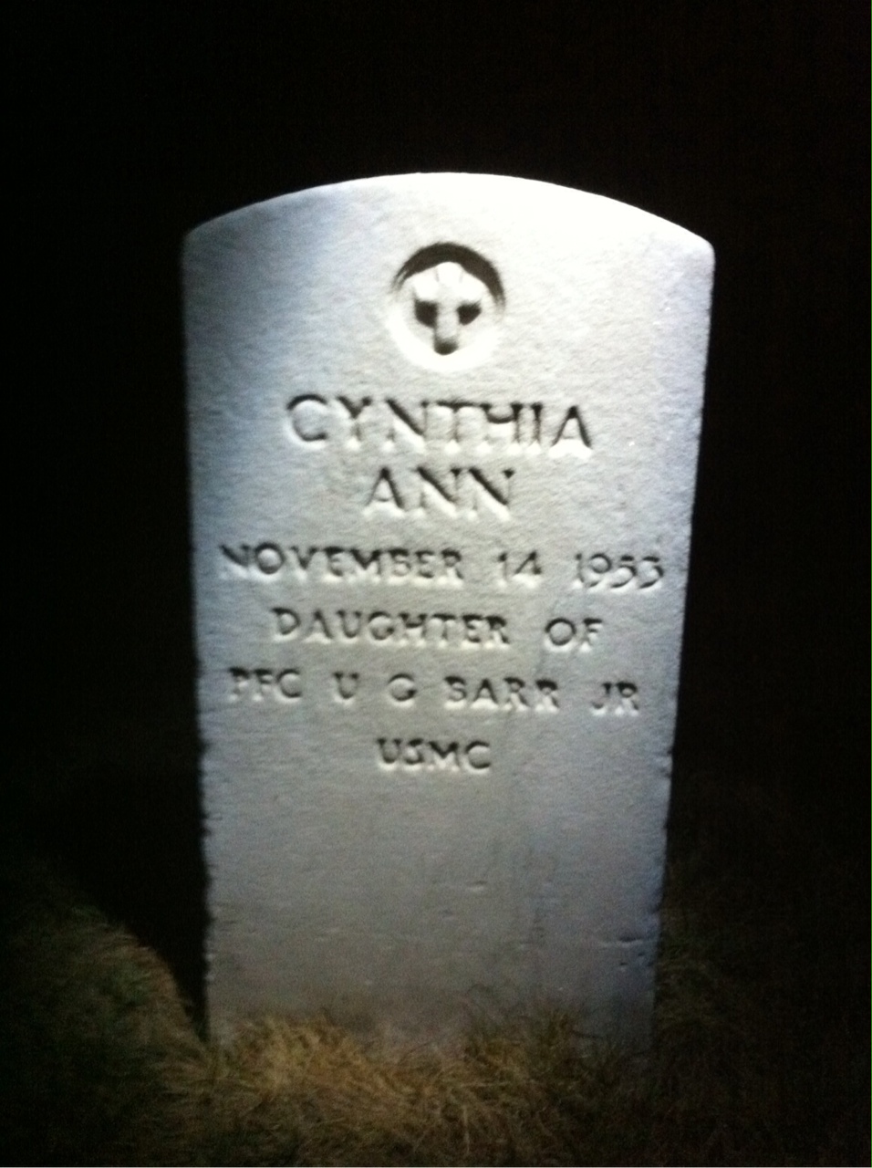 Cynthia Barr