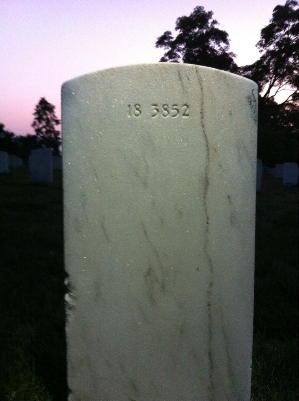 Back of headstone — Chester Anzide