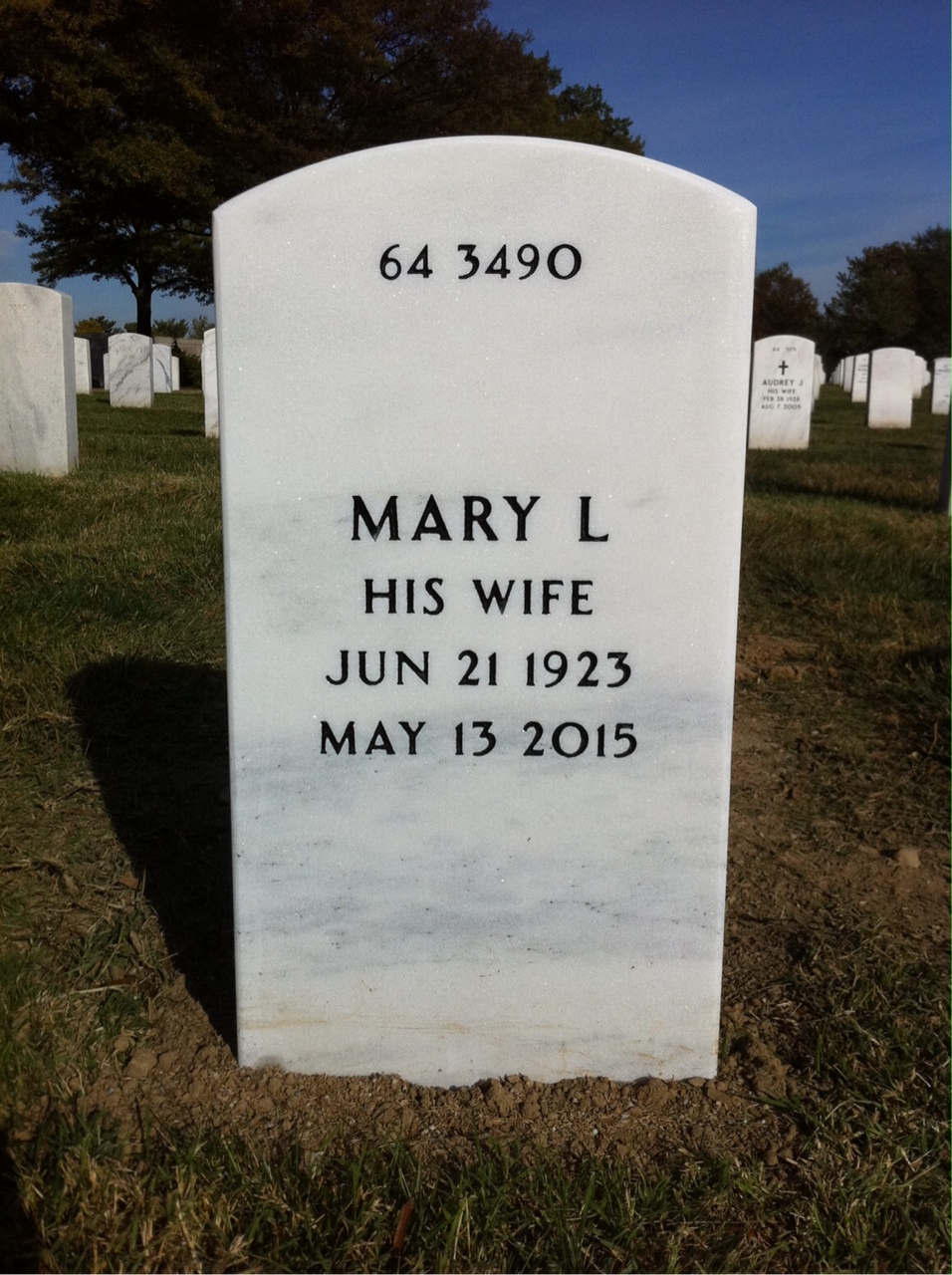 Back of headstone — Henry Dobek