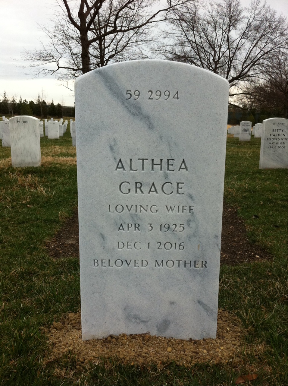 Back of headstone — Samuel Solomon
