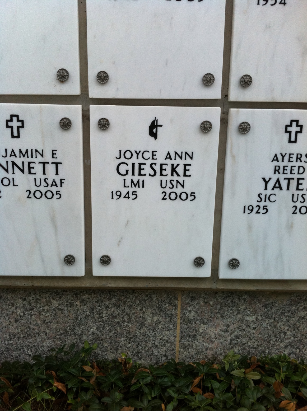 Joyce Gieseke